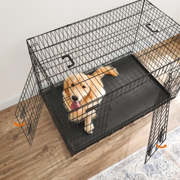 Ein Golden Retriever Welpe sitzt in einer schwarzen Draht-Hundekiste mit zwei offenen Türen und ruht auf einer schwarzen Matte.