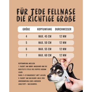 Eine Größentabelle für Haustierhalsbänder, die fünf Größen mit maximalen Kopfumfängen und Durchmessermessungen sowie Anweisungen zum Messen enthält.