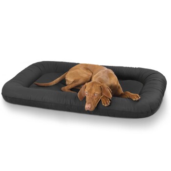 Ein brauner Hund liegt auf einem schwarzen rechteckigen Hundebett und schaut direkt in die Kamera mit einem entspannten Ausdruck.