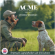 Mann in Outdoor-Ausrüstung benutzt eine Pfeife, um einen sitzenden Hund auf einer Wiese zu trainieren, mit ACME Specialist Whistles Branding.