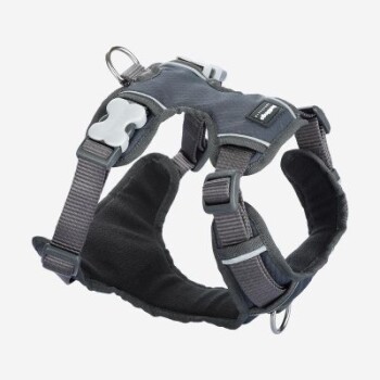 Graues Hundegeschirr mit verstellbaren Riemen und gepolstertem Innenraum, mit einem Metall-D-Ring zur Leinenbefestigung.