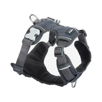 Graues Hundegeschirr mit verstellbaren Riemen und gepolstertem Innenraum, mit einem Metall-D-Ring zur Leinenbefestigung.