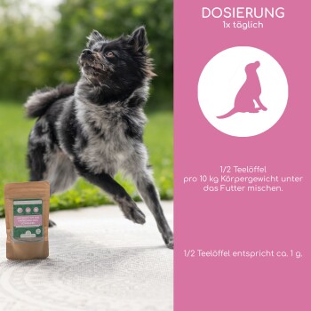 "Venus Balance Powder" Verpackung hebt 100% natürliche Zutaten, nachhaltige Verpackung, hergestellt in Deutschland und labortestete Qualität hervor.