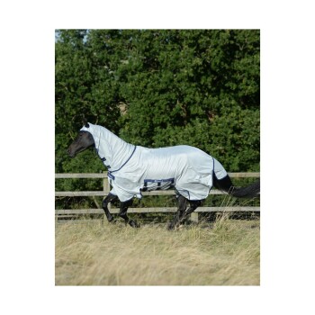 Ein schwarzes Pferd, das eine hellgraue Schutzdecke trägt, läuft auf einer grasbewachsenen Fläche, mit einem Holzzaun und Bäumen im Hintergrund.