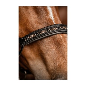 Nahaufnahme eines Pferdekopfes mit einem schwarzen Lederzaumzeug, das mit funkelnden Strasssteinen verziert ist, und dem glänzenden Fell des Pferdes.