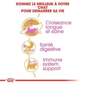 Image promouvant la nutrition des chats avec le texte : "Donnez le meilleur à votre chat," avec "Croissance saine," "Santé digestive," et "Soutien immunitaire."