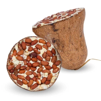 Ein natürlicher Kauspielzeug für Haustiere in Form einer Kürbis, gefüllt mit verschiedenen Nüssen, darunter Mandeln und Cashews, auf einem weißen Hintergrund.