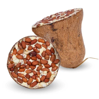 Ein natürlicher Kauspielzeug für Haustiere in Form einer Kürbis, gefüllt mit verschiedenen Nüssen, darunter Mandeln und Cashews, auf einem weißen Hintergrund.