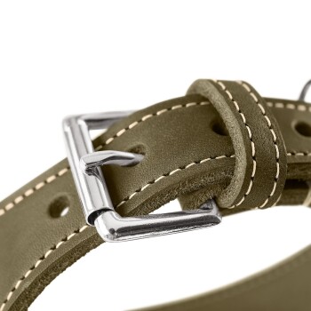 Nahaufnahme eines olivgrünen Lederhundehalsbands mit silberner Metallschließe und weißer Kontrastnaht