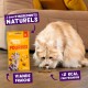 Chat crème à poils longs mangeant des friandises à côté d'un sachet jaune ; étiquettes françaises visibles : naturels, viande fraîche, <2 kcal