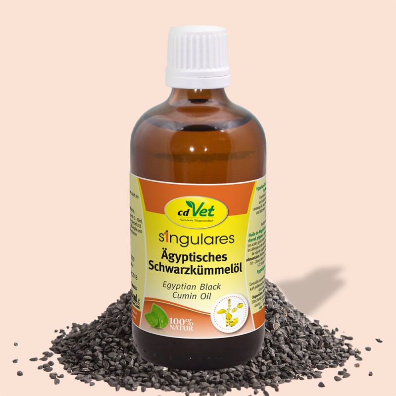 cdVet Singulares Ägyptisches Schwarzkümmelöl 100 ml
