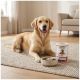 Golden retriever liggend op een vloerkleed naast een kom brokjes en een rood-witte container met etiket 'SUPPORT OPTIMIZE & CARE'.