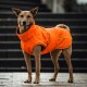 Nahaufnahme einer leuchtend orangefarbenen wasserdichten Tierjacke mit Wassertropfen auf der Oberfläche und einem reflektierenden gelben Rand.
