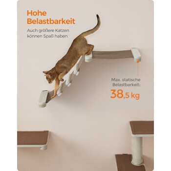 Eine Katze, die auf einem stilvollen wandmontierten Regalsystem klettert, mit dem Text "Hohe Belastbarkeit" und "Max. statische Belastbarkeit: 38,5 kg."