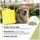 Collage einer Person mit einer flauschigen Katze, einer anderen mit einem Hund und einer Frau mit einem Pferd. Text: "NATURPRODUKTE" und Slogan "Damit es dir gut geht."