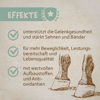 Illustration von Pferdehufen mit Text zu den Vorteilen: unterstützt die Gelenkgesundheit, verbessert die Mobilität und bietet Antioxidantien.