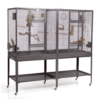 Großer, doppelter Vogelkäfig auf Rädern mit zwei Fächern, Holzstangen und hängenden Spielzeugen, ideal für Haustiervögel.