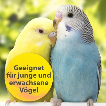 Ein gelber Wellensittich und ein blauer Wellensittich sind nah beieinander, mit einem verschwommenen grünen Hintergrund. Der Text lautet: 'Geeignet für junge und erwachsene Vögel.'