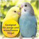 Ein gelber Wellensittich und ein blauer Wellensittich sind nah beieinander, mit einem verschwommenen grünen Hintergrund. Der Text lautet: 'Geeignet für junge und erwachsene Vögel.'