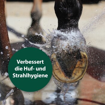 Nahaufnahme eines Pferdehufs, der mit Wasser abgespült wird, mit einem grünen Kreisüberlagerung, der "Verbessert die Huf- und Strahlhygiene" liest.