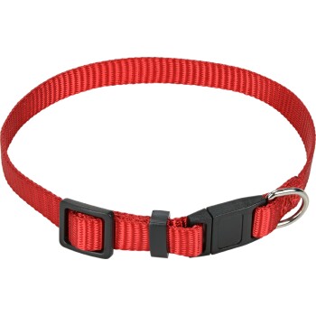 Collier pour chat rouge