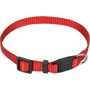 Rode nylon halsband voor huisdieren met een zwarte plastic gesp en een metalen D-ring voor het bevestigen van de lijn.