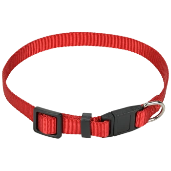 Rotes Nylon-Haustierhalsband mit einer schwarzen Kunststoffschnalle und einem metallischen D-Ring zur Leinenbefestigung.