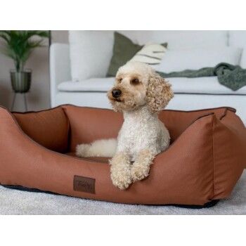 Lockighaariger kleiner Hund ruht in einem braunen Lederhaustierbett mit "Troll & T"-Etikett in einem gemütlichen Wohnzimmer.