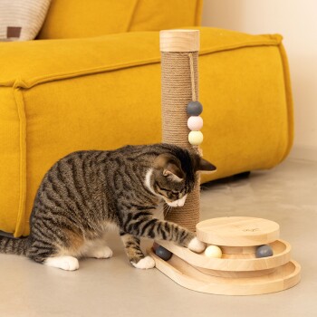 Eine verspielte getigerte Katze interagiert mit einem Holzspielzeug für Katzen, das bunte Bälle und einen Kratzbaum enthält, vor einem hellgelben Sofa.