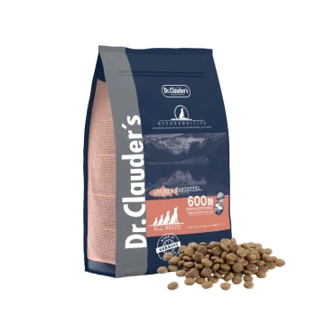 Dr. Clauder's HypoSensitive Hundefutterbeutel mit Lachs und Kartoffeln, 600g, mit Futterstückchen, die davor verstreut sind.