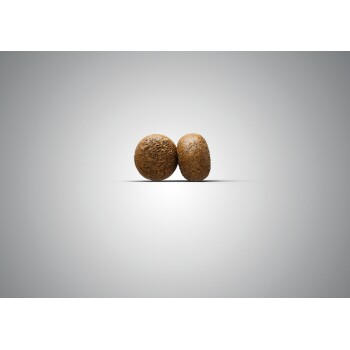 Zwei runde, braune Stücke Katzenfutter, die eng zusammen auf einem hellgrauen Hintergrund platziert sind.