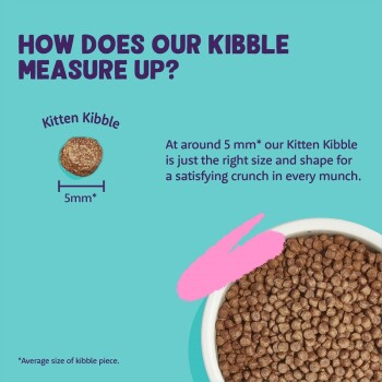 Image of a bowl of kitten kibble with a text overlay stating "How does our kibble measure up?" and details about the kibble size (5mm).