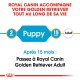 Guide Royal Canin pour les Golden Retrievers, mettant en avant la phase "Chiot" à 2 mois et la transition vers "Adulte" à 15 mois.