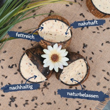 Drei Kokosnussschalenhälften gefüllt mit cremigen Mischungen, beschriftet mit "fettreich", "nahrhaft", "nachhaltig" und "naturbelassen", mit Samen und einer Blume.