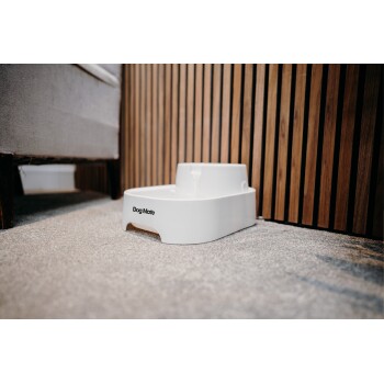 Weiße Hundewasser-Schüssel mit der Aufschrift 'Dog Mate' auf einem mit Teppich belegten Boden, positioniert neben einer Holzwand und einem Sofa.