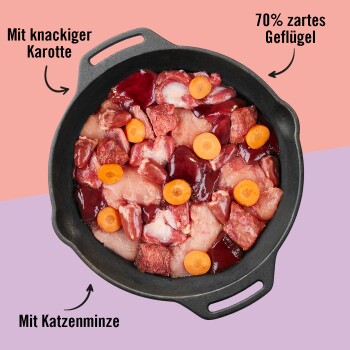 Eine gusseiserne Pfanne hält rohes Hähnchen und Rindfleisch, garniert mit Karottenscheiben und beschriftet mit deutschen Phrasen über Zartheit und Geschmack.