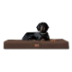 Ein schwarzer Hund liegt auf einem braunen Hundebett, mit einem kleinen Logoanhänger, der "the brandy" liest.