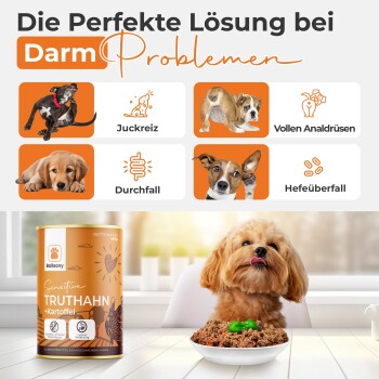 German Shephy Nassfutter Truthahn 2,4 kg