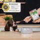 Hund an der Theke, dem mit einem Löffel eine Portion verpacktes 'COMPLETE' BARF‑Futter gegeben wird; Etikett zeigt 'BARF‑Alleinfuttermittel' und DLG‑Siegel.