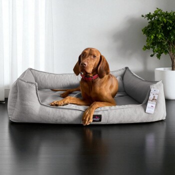 Brauner Hund mit rotem Halsband liegt auf einem grauen Berlando-Haustierbett mit Etikett, neben einer Topfpflanze auf dunklem Boden.