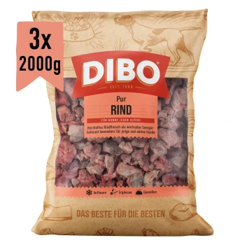 DIBO Rindfleisch Hundefutterverpackung, mit einer 2000 g Portion gefrorenem Rindfleisch, gekennzeichnet als Ergänzungsfutter für Hunde.
