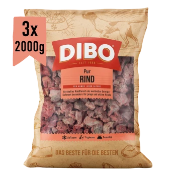 DIBO Rindfleisch Hundefutterverpackung, mit einer 2000 g Portion gefrorenem Rindfleisch, gekennzeichnet als Ergänzungsfutter für Hunde.