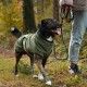Gestromter Mischlingshund mit olivgrünem Mantel an der Leine geht neben Besitzer in Jeans und Turnschuhen auf einem Waldweg.