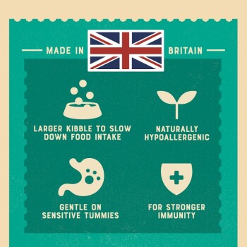 Pet food packaging featuring a Union Jack, highlighting benefits: larger kibble to slow intake, hypoallergenic, gentle on tummies, stronger immunity.