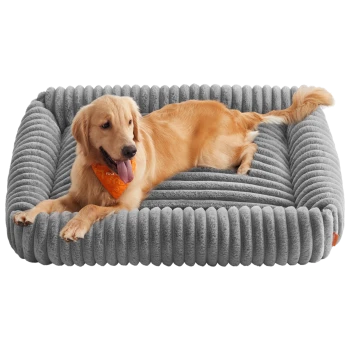 Golden Retriever mit orangefarbener Bandana, liegend auf einem grauen, plüschigen Cord-Hundebett mit erhöhten Rändern.