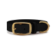 Schwarzes Haustierhalsband mit einer goldenen Schnalle und D-Ring, auf einem weißen Hintergrund präsentiert.