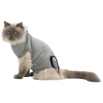 Fluffy gray-and-cream cat wearing a gray recovery hoodie with a small red 'TRIXIE' tag, seated on white background.