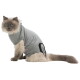 Fluffy gray-and-cream cat wearing a gray recovery hoodie with a small red 'TRIXIE' tag, seated on white background.