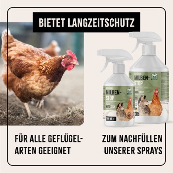 Braune Henne auf einem Bauernhof mit zwei "MITE-STOP" Sprühflaschen, beschriftet mit "Bietet Langzeitschutz" und "Für alle Geflügel-Arten geeignet."
