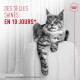 Chat tigré duveteux se prélassant sur une chaise avec texte rouge «Des selles saines en 10 jours*» et logo couronne Royal Canin